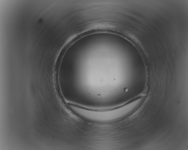 X0000067531029200604211838