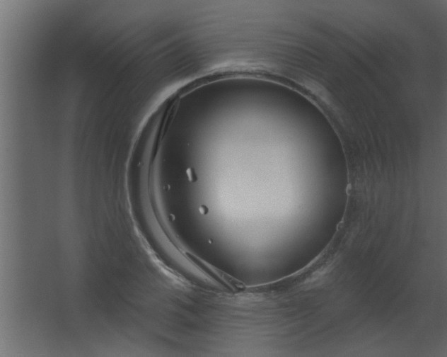 X0000067531030200604211838