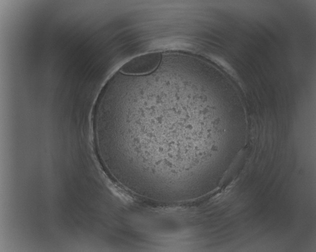 X0000067531031200604211838