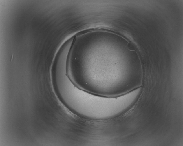 X0000067531032200604211838