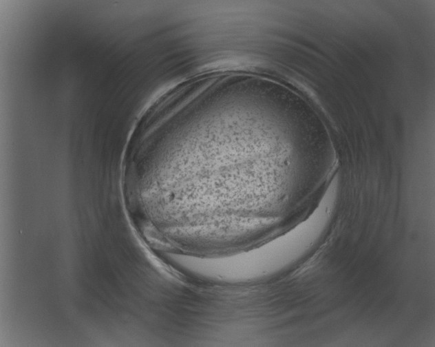 X0000067531034200604211838