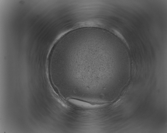 X0000067531035200604211838