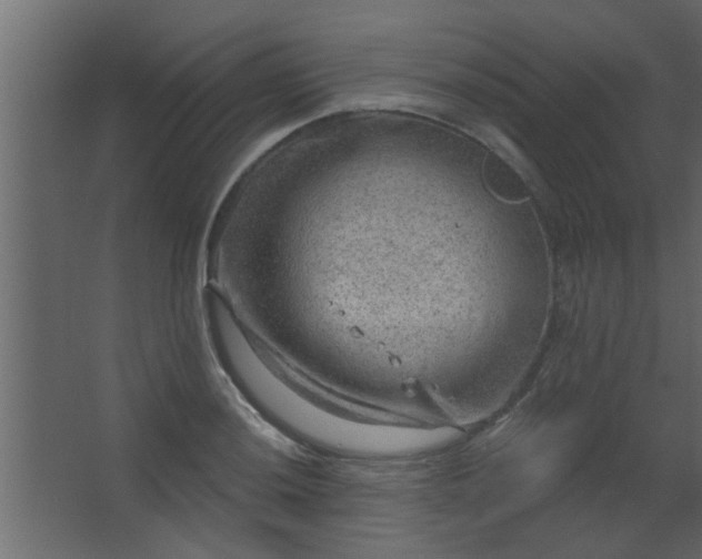 X0000067531036200604211838