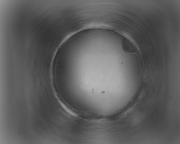 X0000067531037200604211838