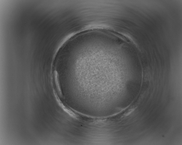 X0000067531038200604211838