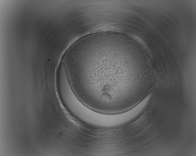 X0000067531039200604211838