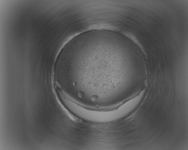 X0000067531040200604211838