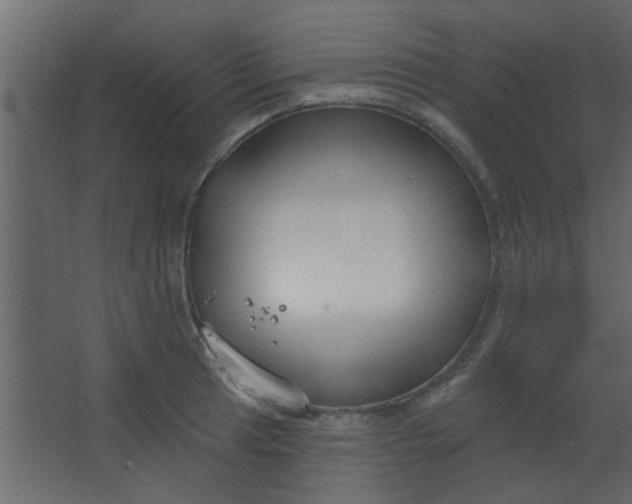 X0000067531041200604211838