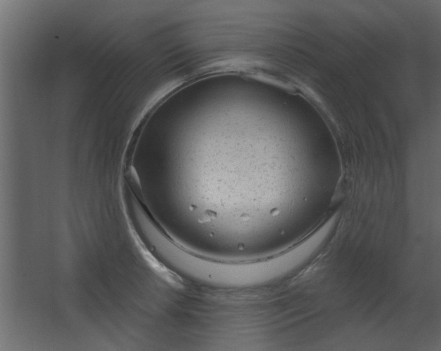 X0000067531042200604211838