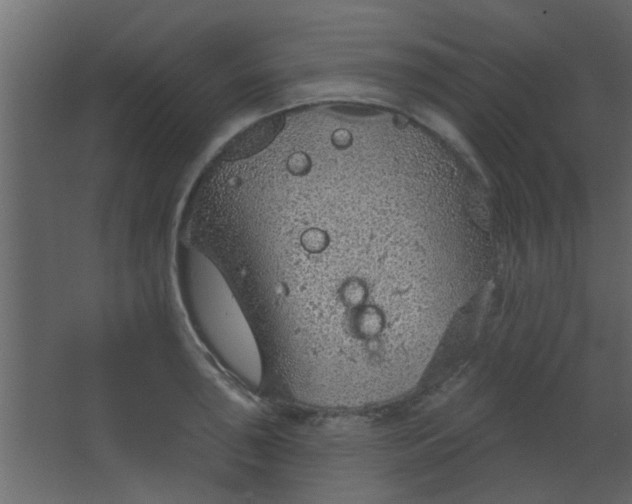 X0000067531043200604211838