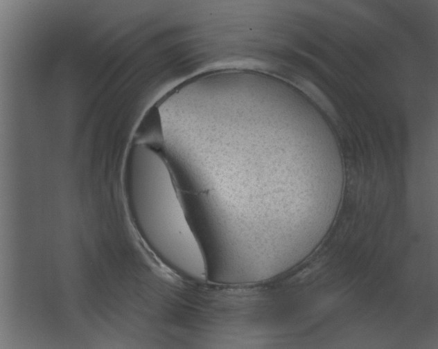 X0000067531044200604211838