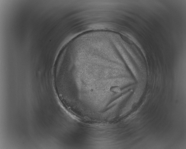 X0000067531045200604211838