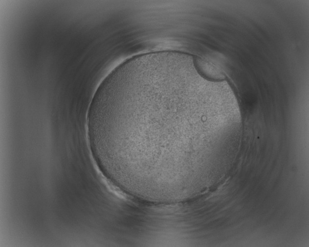 X0000067531047200604211838