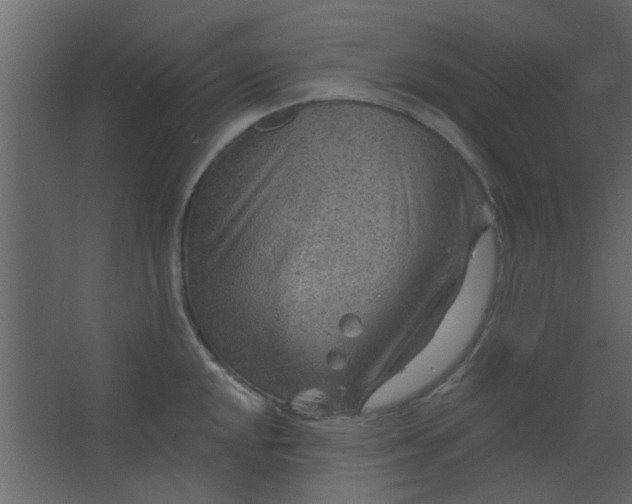 X0000067531048200604211838