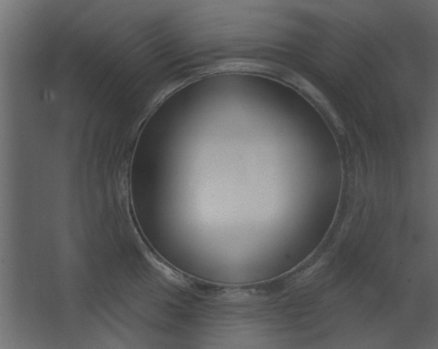 X0000067531049200604211838