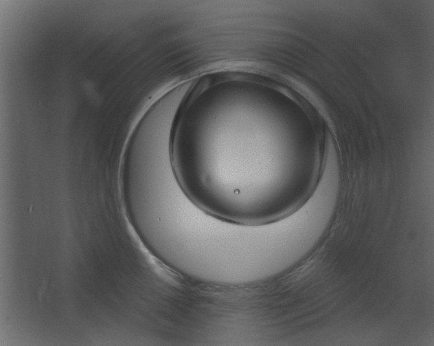 X0000067531050200604211838