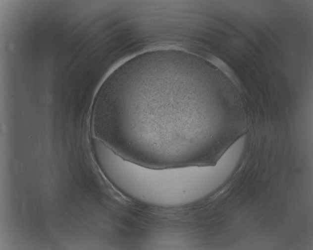 X0000067531052200604211838