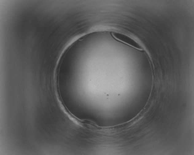 X0000067531053200604211838