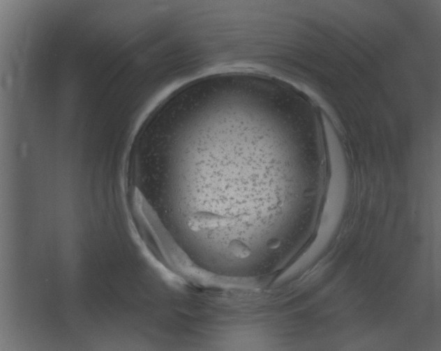 X0000067531054200604211838