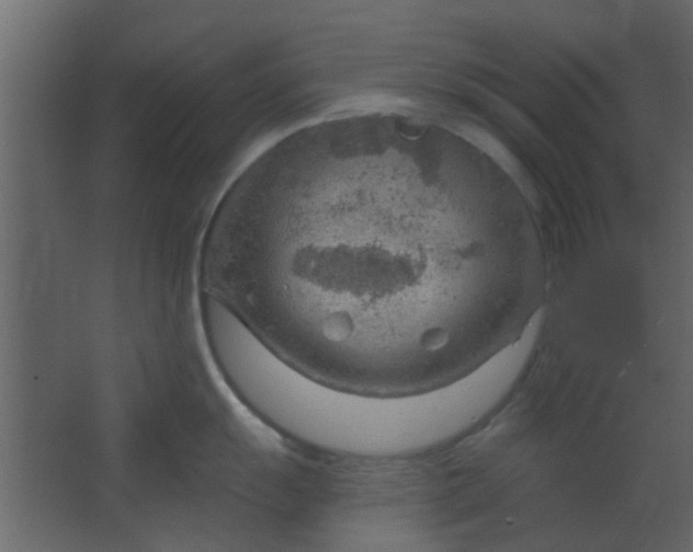 X0000067531055200604211839