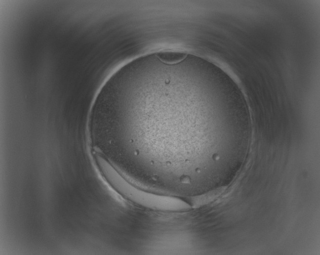 X0000067531056200604211839