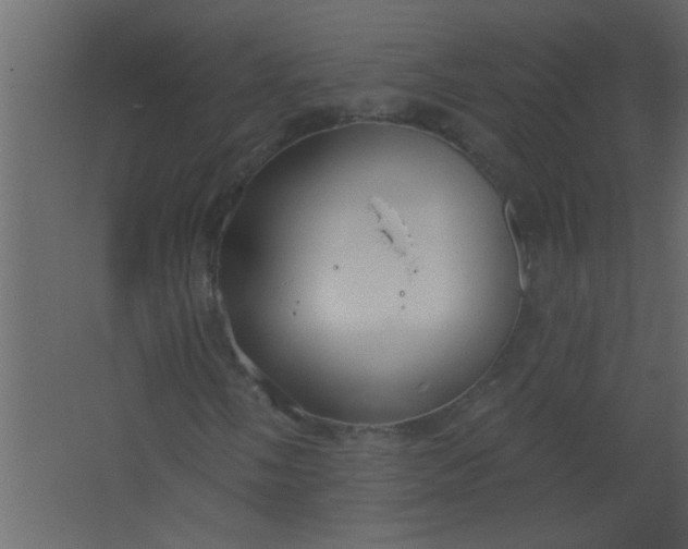 X0000067531058200604211838