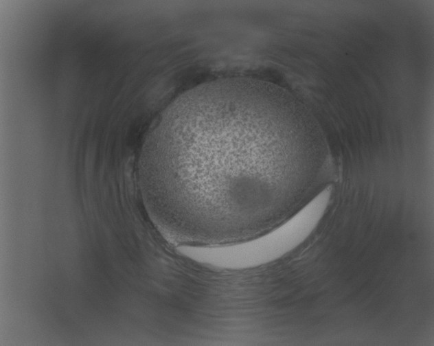 X0000067531059200604211838