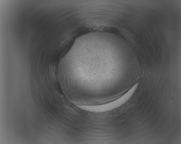 X0000067531060200604211838