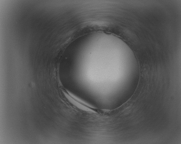 X0000067531061200604211838