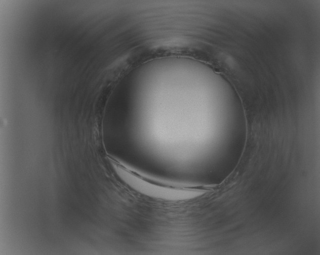 X0000067531062200604211838