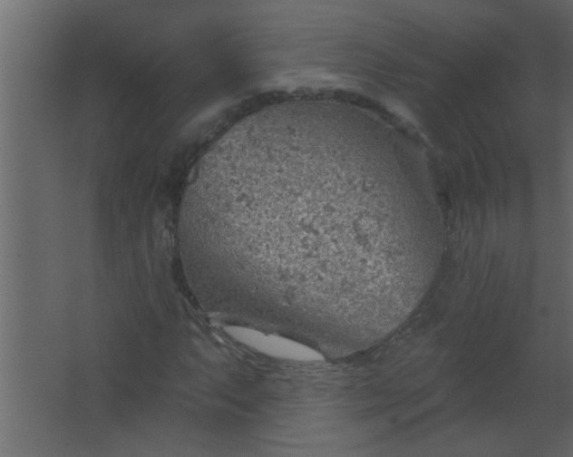 X0000067531063200604211838