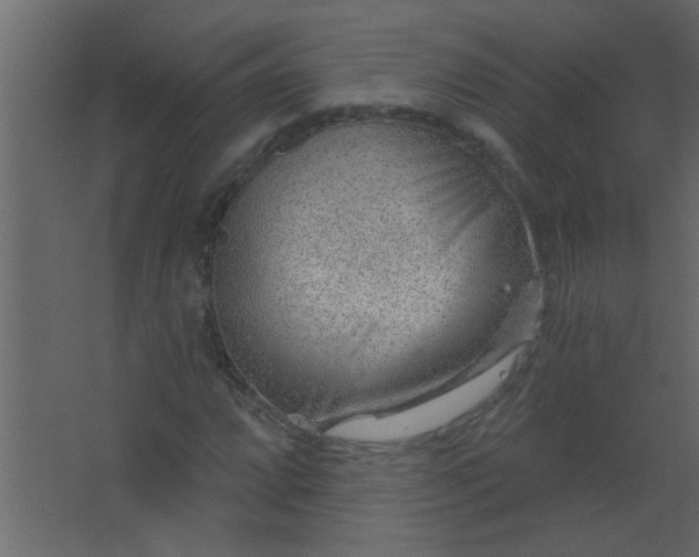 X0000067531064200604211838