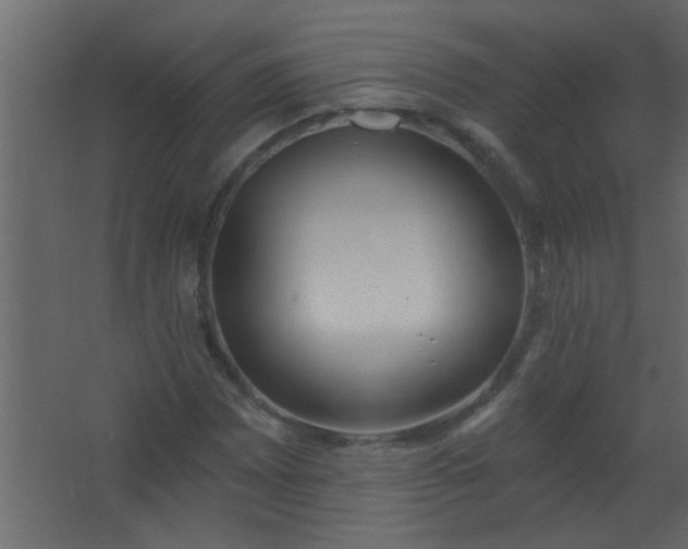 X0000067531065200604211838