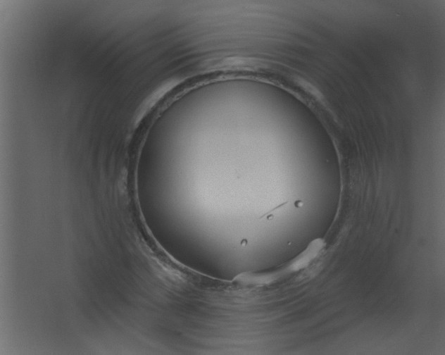 X0000067531066200604211838