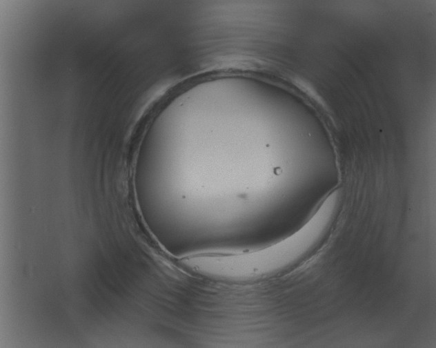 X0000067531067200604211838