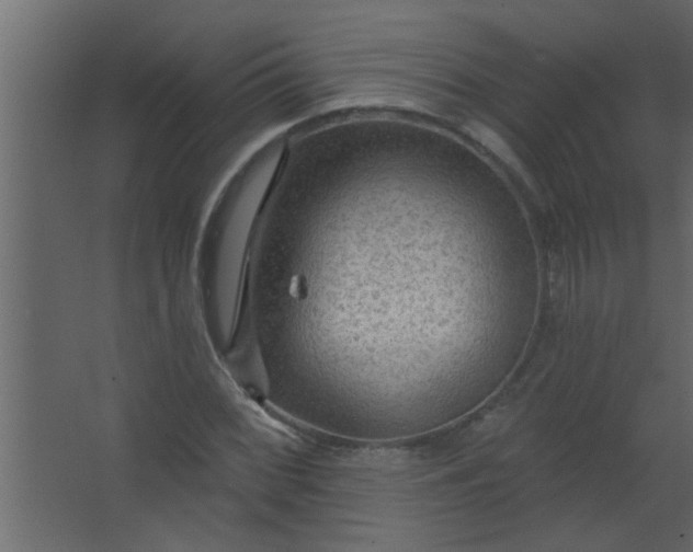 X0000067531068200604211838