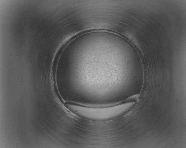 X0000067531072200604211837