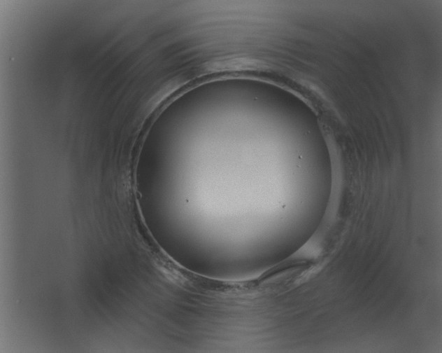 X0000067531073200604211837