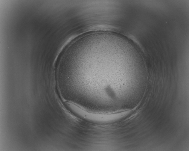 X0000067531075200604211837