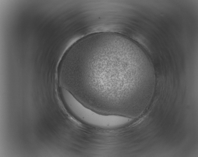 X0000067531079200604211837