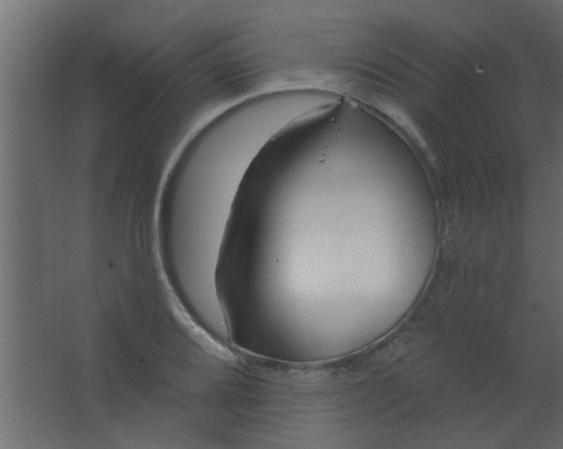 X0000067531080200604211837