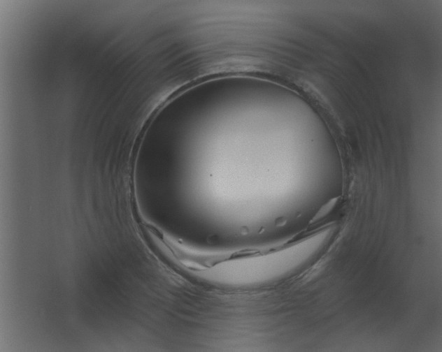 X0000067531081200604211837