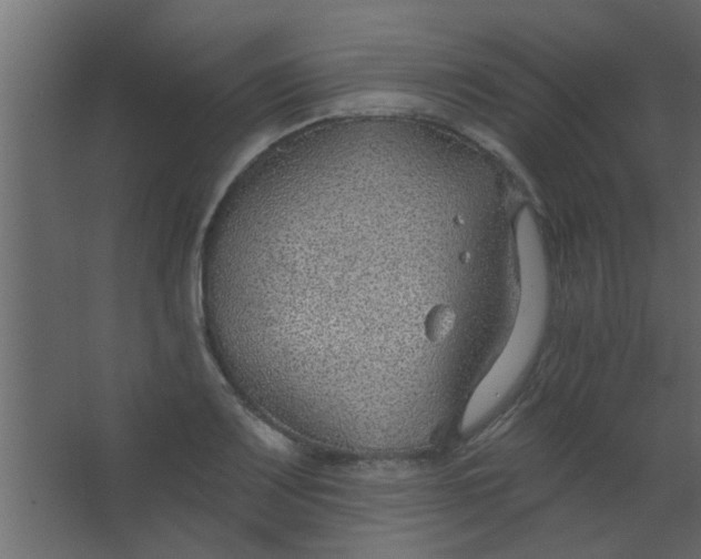 X0000067531083200604211837