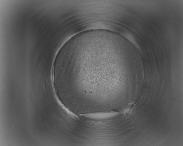 X0000067531084200604211837