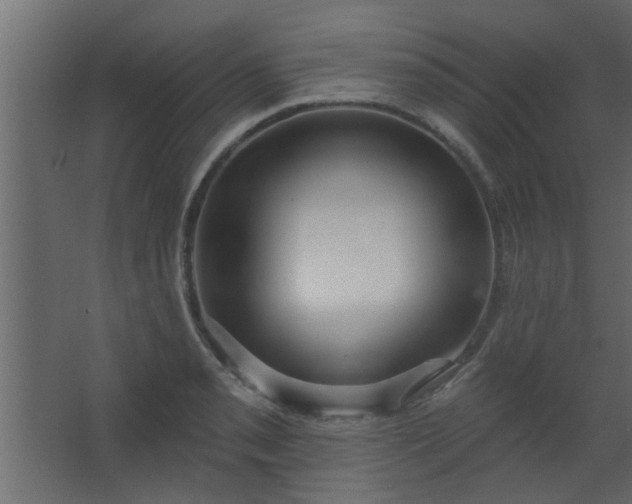 X0000067531085200604211837