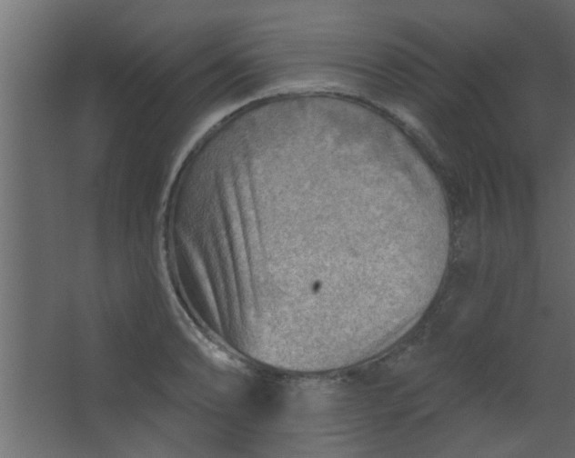 X0000067531086200604211837