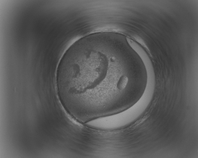 X0000067531087200604211837