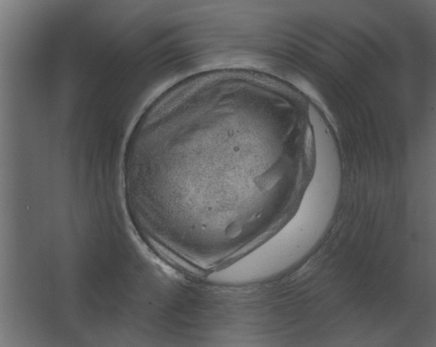 X0000067531088200604211837