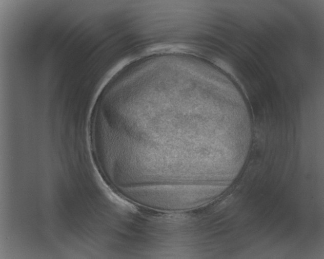 X0000067531090200604211837