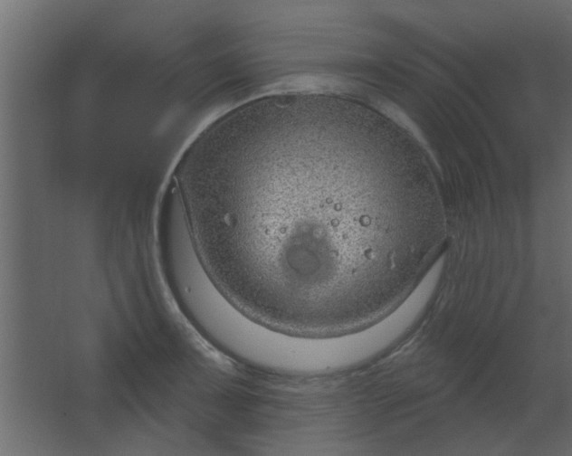 X0000067531091200604211837